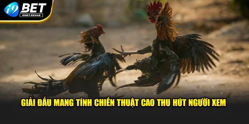 Giải đấu mang tính chiến thuật cao thu hút người xem