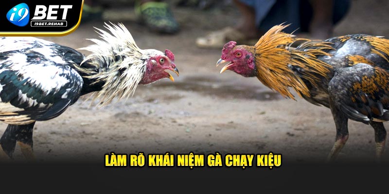 Làm rõ khái niệm gà chạy kiệu