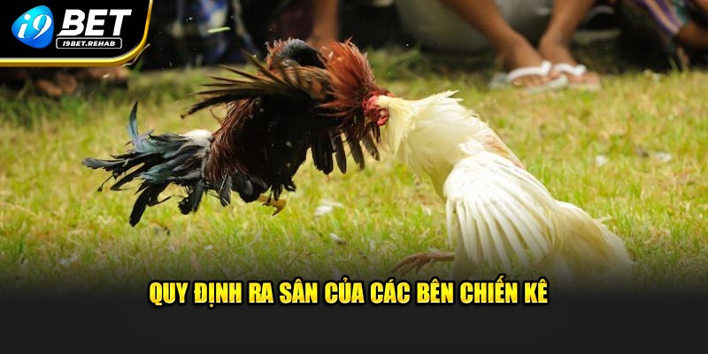 Quy định ra sân của các bên chiến kê 