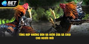 Những đòn đá hiểm của gà chọi