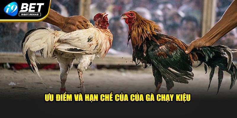 Ưu điểm và hạn chế của của gà chạy kiệu